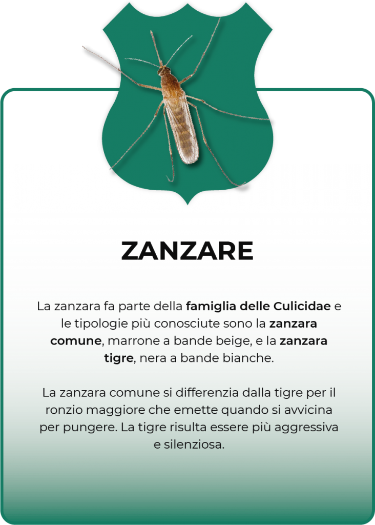 infestanti trattati zanzare
